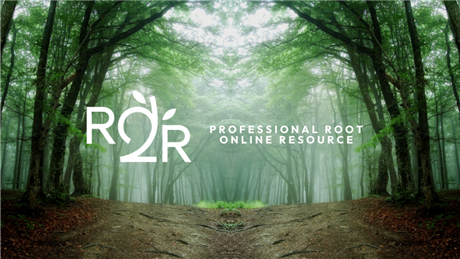 Group Banner Picture